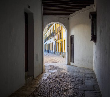 Arka planda Sevilla 'lı Alcazar' ın avlusu olan Banderas Verandası (Bayraklar avlusu) ile Yahudi mahallesine giriş yolu. Sevilla, Endülüs, İspanya.