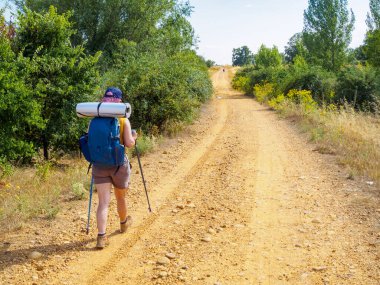 Camino de Santiago kırsalında yürüyen bir seyyah. İspanya.