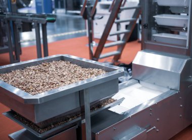 Gıda üretim hattında şerit taşıyıcı. Gıda endüstrisi.