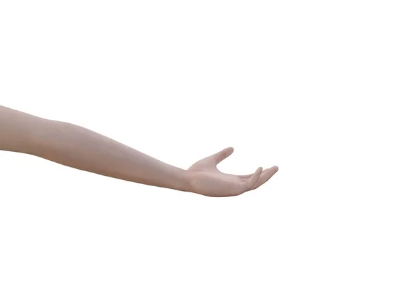 Human Hand Reaching Isolated White Background Clipping Path Rendering Image — Stock Photo, Image