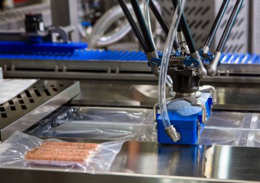 Doğrusal yiyecek ısısı termoformasyon mühür ve ambalaj makinesi