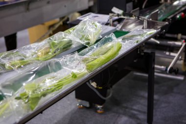 Otomatik yiyecek akışı paketleme makinesi. Yiyecek paketleme makinesi