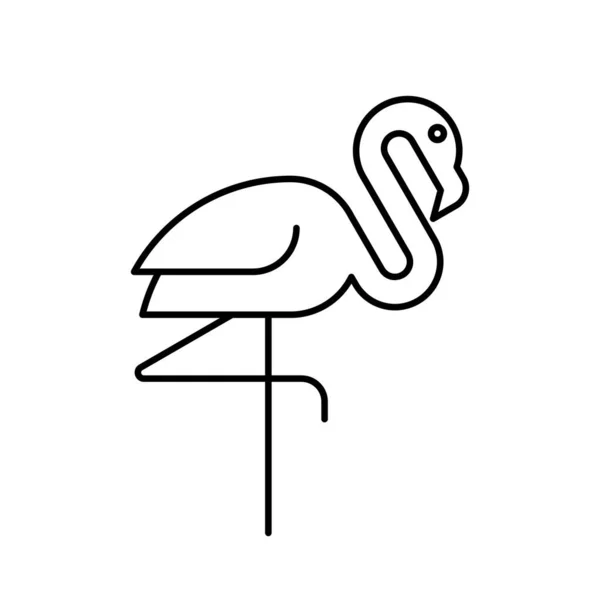 Logo Flamingo Diseño Iconos Elementos Plantilla — Archivo Imágenes Vectoriales