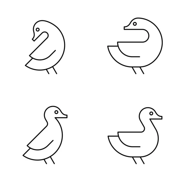 Set Logotipo Pato Diseño Iconos Elementos Plantilla — Vector de stock