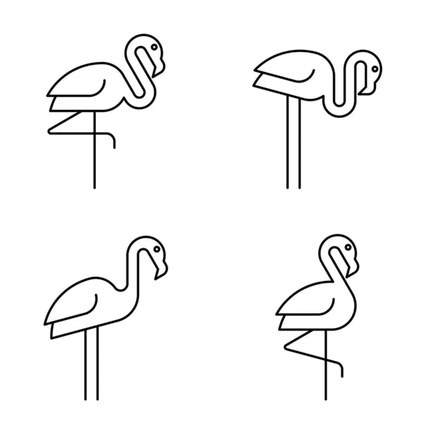 Conjunto Flamingo Logo Design Ícones Elementos Modelo —  Vetores de Stock