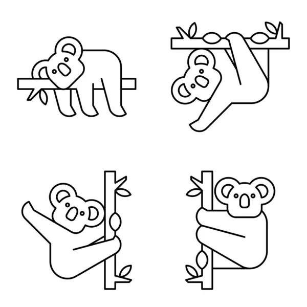 Sada Loga Koala Design Ikon Prvky Šablony — Stockový vektor