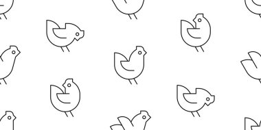 Tavuklarda kusursuz desen. beyaz arkaplanda izole