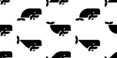 Sperm Balinası 'nda kusursuz desen var. beyaz arkaplanda izole