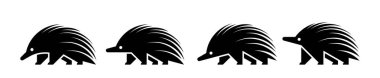 Echidna logosu seti. Simge tasarımı. Şablon ögeleri