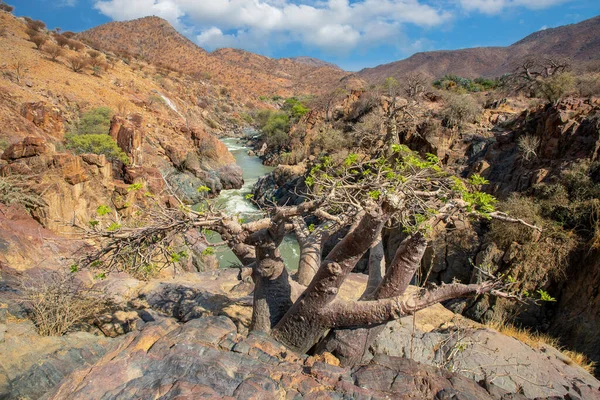 Wodospad Epupa Nad Rzeką Kuene Namibia — Zdjęcie stockowe
