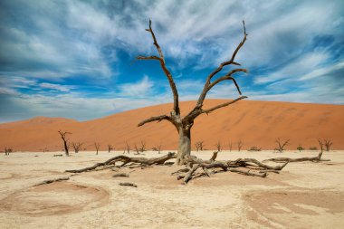 Namib Naukluft, Namibya 'da ölü Vlei