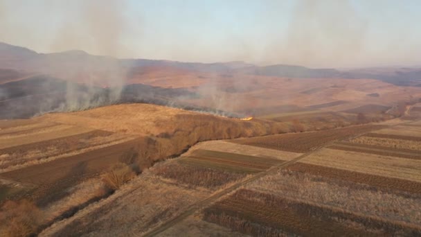Vista Aérea Del Campo Quema Hierba Seca Primavera Fuego Humo — Vídeos de Stock
