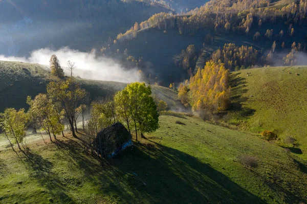 Vervelende Ochtend Bergen Luchtdrone Zicht Verlaten Hut Huis Transsylvanië Roemenië — Stockfoto