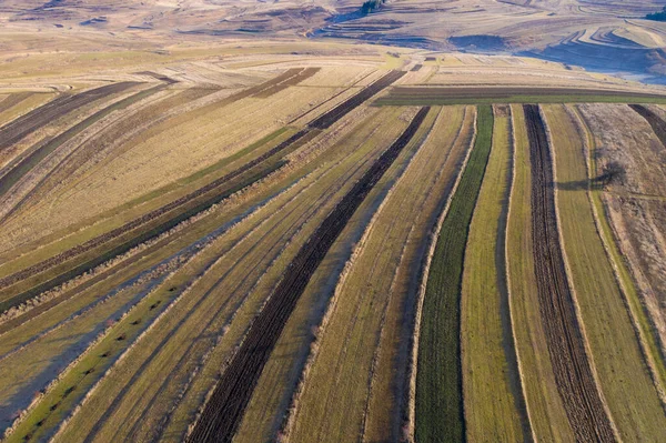 Ovanför Flygbilden Över Jordbruksfälten Hösten — Stockfoto