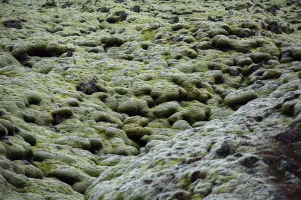 stock image Moss covered lava field in a cloudy day. Eldhraun, Iceland