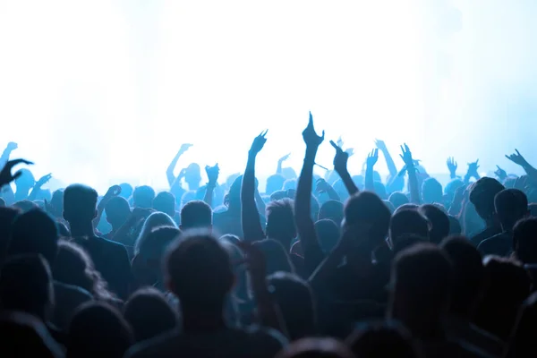 Bir Grup Insan Müzik Festivalindeki Canlı Konserde Kollarını Kaldırarak Parti — Stok fotoğraf