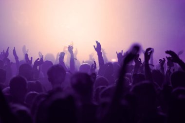 Bir grup insan müzik festivalinde canlı konserde parti veriyor.