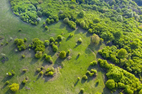 Вид Воздуха Зеленые Дикие Пастбища Сельская Местность Весной — стоковое фото