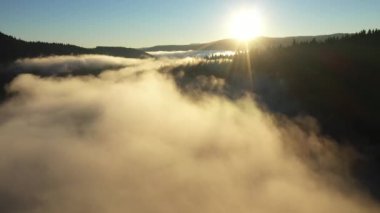 Güneş doğarken sisli bir göl manzarası. İnsansız hava aracıyla bulutların üzerinde uçuyorlar. Belis, Romanya