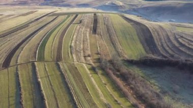 Tarımsal tarlaların ve uzak köylerin havadan görünüşü. Romanya 'nın Bedeciu kenti İHA ile