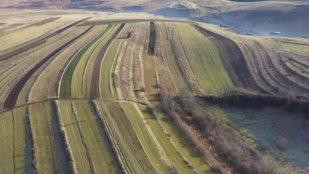 Letecký Pohled Zemědělská Pole Odlehlou Vesnici Bedeciu Rumunsko Drone — Stock video