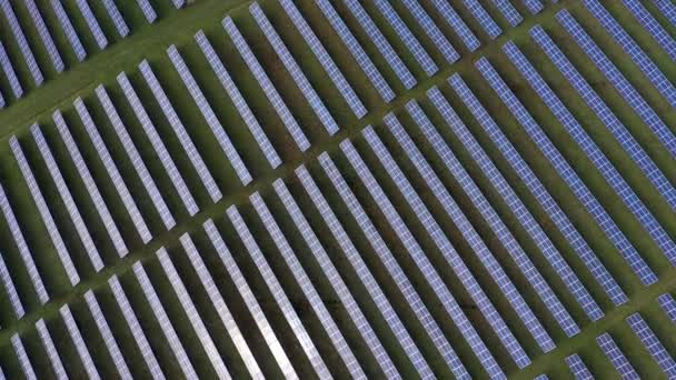 Aerial View Solar Park Solar Farm Drone — Stock Video