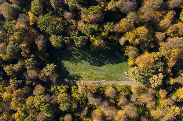秋の森林キャノピーの空中ビュー 白車のウィットをクリア — ストック写真
