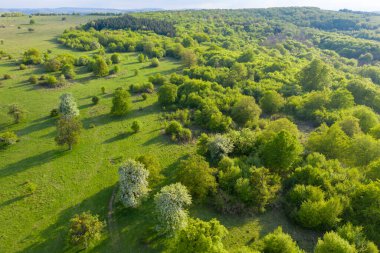 Aerial view of vibrant green pasture and forest in Transylvania, Romania by drone