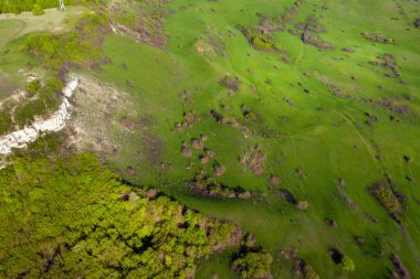 Aerial view of limestone cliffs and Green forest in the spring. Geological formation in Transylvania, Romania