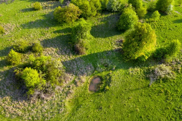 バッファローや農場の動物のための小さな天然飲料池を持つ緑の牧草地の空中ビュー トランシルバニア ルーマニア — ストック写真