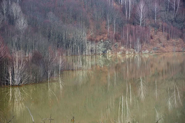 Eaux Usées Vertes Provenant Une Mine Cuivre Polluant Environnement Lac — Photo