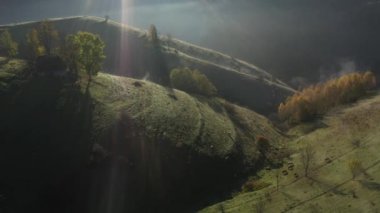 Sabahın erken saatlerinde ineklerin otladığı hava manzarası.