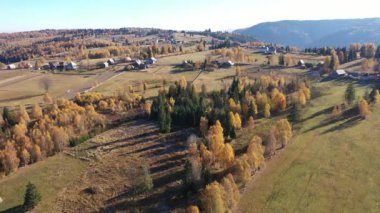 Flying above rural countryside landscape. Homestead and village in the autumn with colorful trees