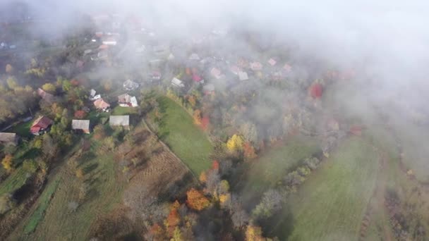 Village Autumn Misty Landscape Meadow Pasture Aerial Drone View — Stock Video