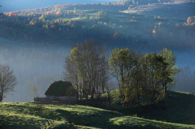 Sonbaharda sazdan çatı evi, pansiyon, dağ kulübesi olan kırsal tarım arazisi. Transilvanya, Romanya