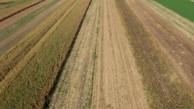 İnsansız hava aracı tarım alanının üzerinde uçuyor. Hava görünümü