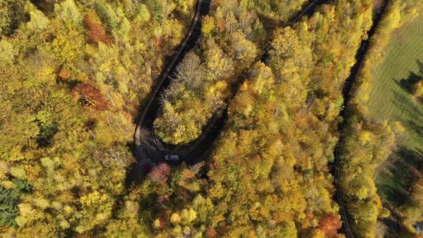 Літаючи Над Сільською Раптовою Дорогою Машинами Осінньому Лісі Жовтим Верхом — стокове відео
