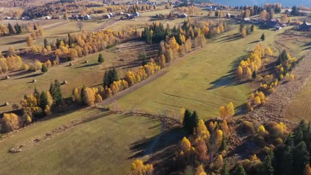 Flying Autumn Deciduous Forest Mountain Countryside Village Ranch Aerial Drone — Stock Video
