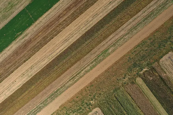 Saman Tarlası Buğday Tarlası Nsansız Hava Aracıyla Güzel Tarım Arazisi — Stok fotoğraf