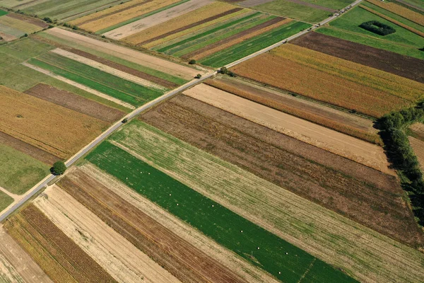 Vista Aérea Del Campo Los Campos Agrícolas Tierras Cultivo Paisaje Imagen De Stock