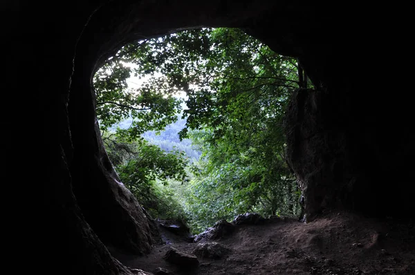 Hidden remote cave entrance in the forest from inside