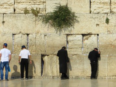 JERUSALEM, ISRAEL - 15 Mayıs 2015: İsrail Yahudileri Kudüs 'teki Batı Duvarı' nda dua ediyorlar                                                       
