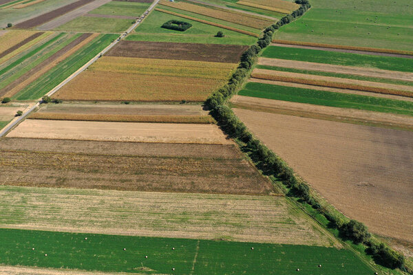 Drone flying above agriculture field. Aerial view