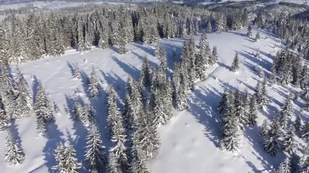 Villaggio Remoto Fattoria Case Sepolte Sotto Neve Montagna Vista Drone — Video Stock