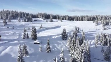  Uzak bir dağ köyü, kışın karla kaplı dağlarda bir çiftlik. 4K hava aracı görüntüsü