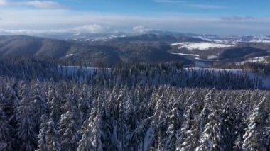  Dağlardaki her yer yemyeşil ormanlarla kaplı karların üzerinde uçuyordu. Kışın köknar ağaçlarının hava aracı görüntüsü
