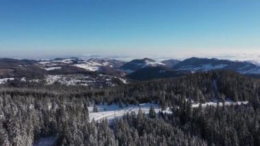 Dağlardaki karla kaplı çam ormanlarının zirvesi insansız hava aracı ile havalandı.