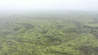 İzlanda, Eldhraun lav sahasının havadan görünüşü yosunlu jeolojik lav akıntıları ve yastıkların üzerinde drone ile uçuyor.