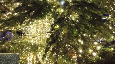  Noel ağacı ışıkları karanlıkta parlıyor.