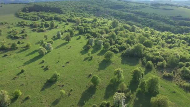 Pajiște Verde Primăvară Dealuri Rurale Sus Vedere Aeriană — Videoclip de stoc